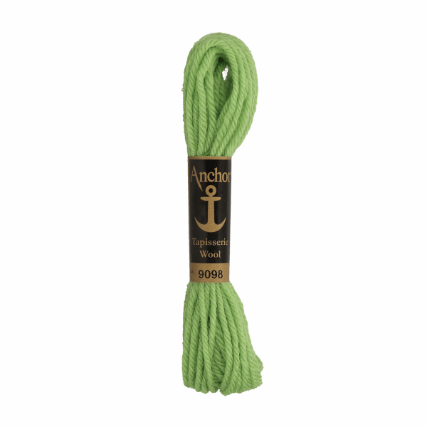 Anchor Tapisserie Wool 9098 1
