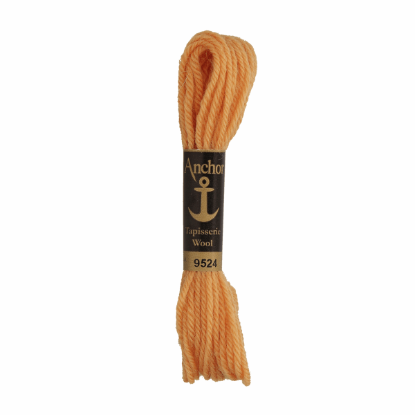Anchor Tapisserie Wool 9524 1