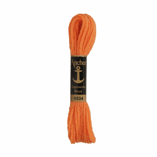 Anchor Tapisserie Wool 9534 1