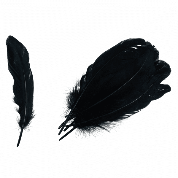 Trimits - Goose Feathers - Black 1
