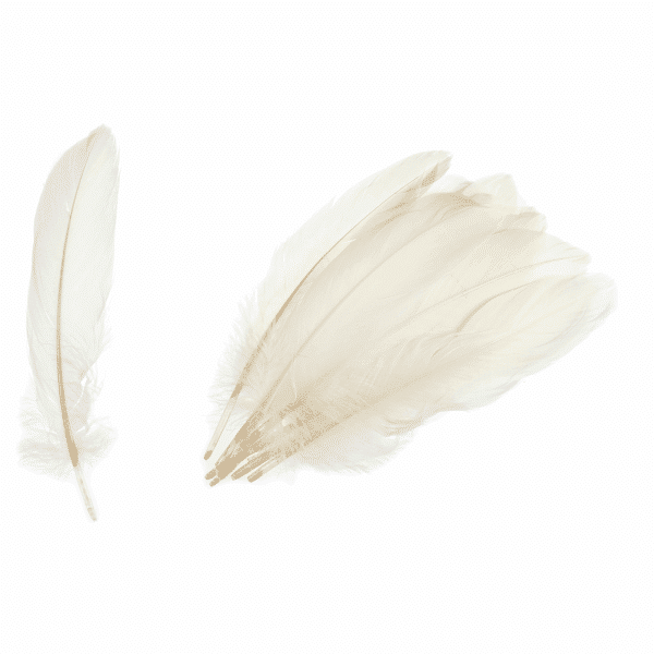 Trimits - Goose Feathers - Cream 1