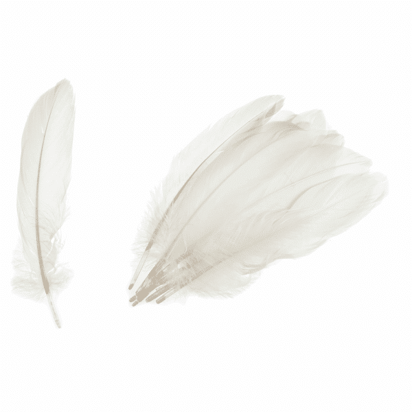 Trimits - Goose Feathers - White 1