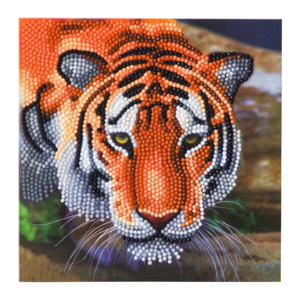 DIY Crystal Art Kits - Card Kit 18x18cm - Tiger 1