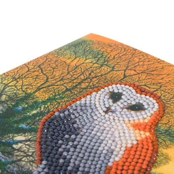 DIY Crystal Art Kits - Card Kit 18x18cm - Winter Owl 2