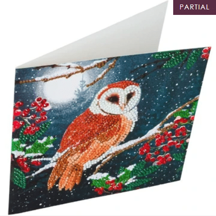 DIY Crystal Art Kits - Card Kit 18x18cm - Barn Owl 3