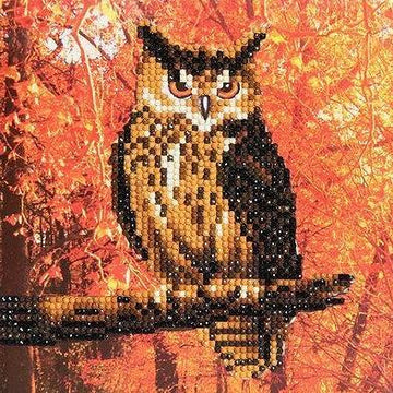 DIY Crystal Art Kits - Card Kit 18x18cm - Autumn Owl 1