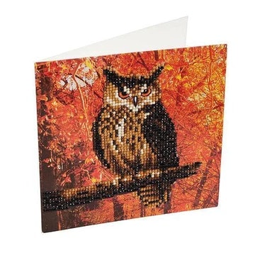 DIY Crystal Art Kits - Card Kit 18x18cm - Autumn Owl 3
